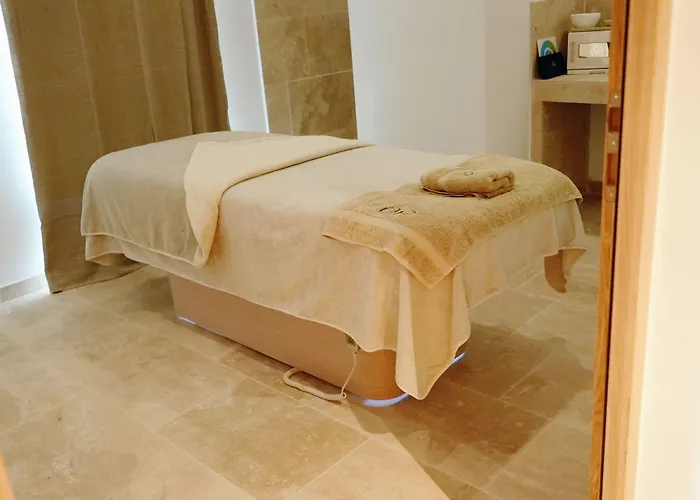 Отель Domaine De Privadiere 5*